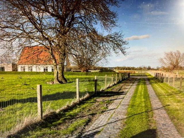 Schravenhoek Met Indoorzwembad En Sauna Veurne Buitenkant foto